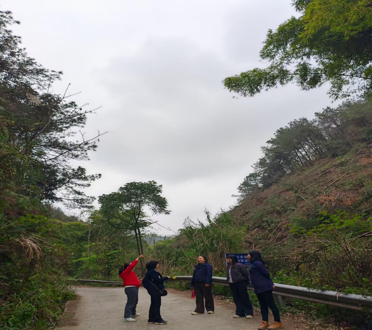 fe747177cfbefe369bf466251de0b7ca